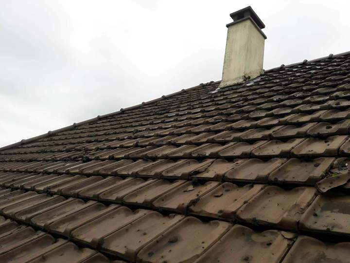 Un démoussage soigné et rapide