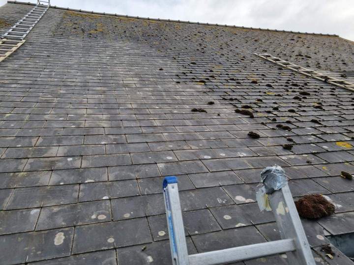 Service de démoussage de toiture Étrelles