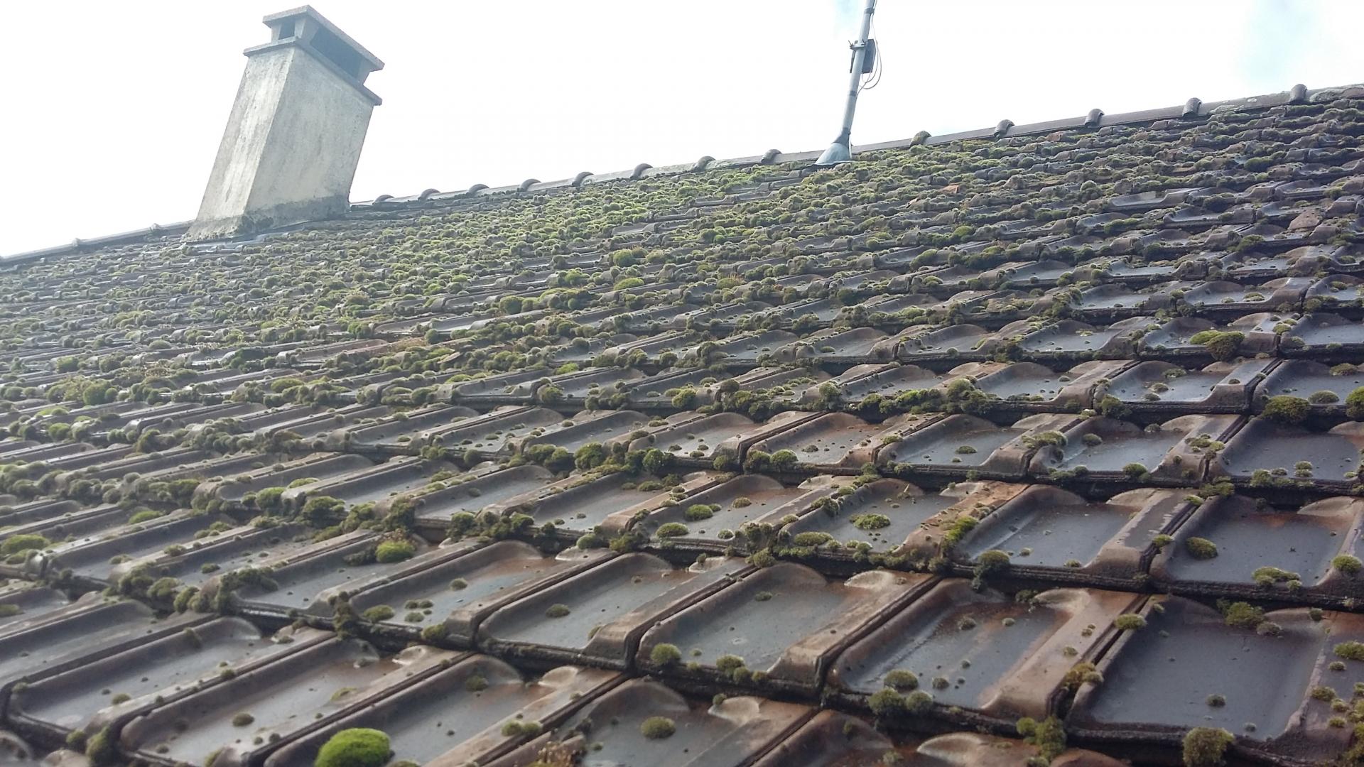 Démoussage de toiture Étrelles